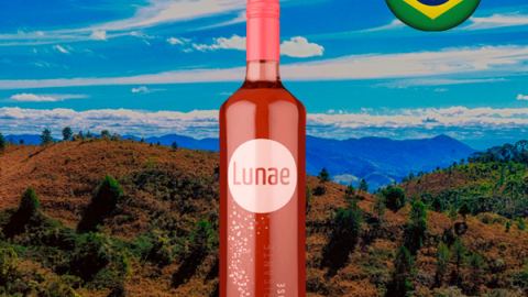 Salton Lunae Rosé Demi-Sec - Oferta