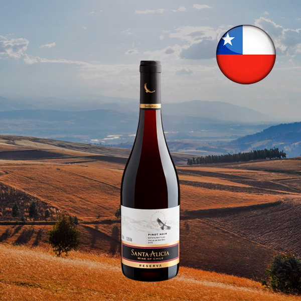 Santa Alicia Reserva Pinot Noir 2019 - Oferta