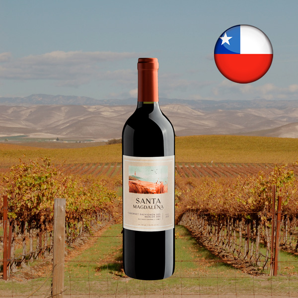 Santa Magdalena Red Blend Valle Central DO 2021 - Oferta