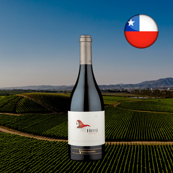 Ventisquero Herú Valle de Casablanca Pinot Noir 2018 - Oferta