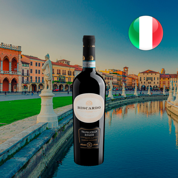 Biscardo Valpolicella Ripasso Classico Superiore DOC 2017 - Oferta
