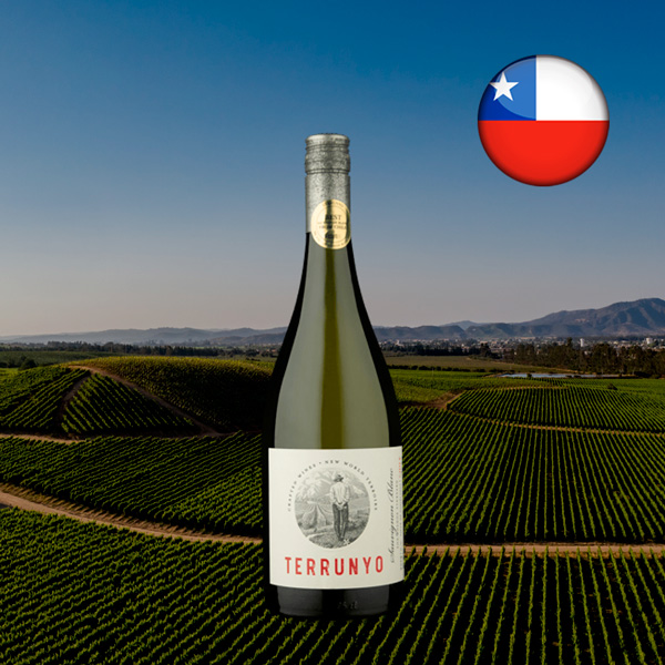 Concha Y Toro Terrunyo Sauvignon Blanc 2019 - Oferta
