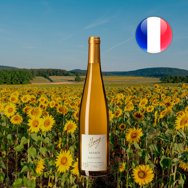 Domaine Jean Marie Haag Riesling 2019 - Oferta
