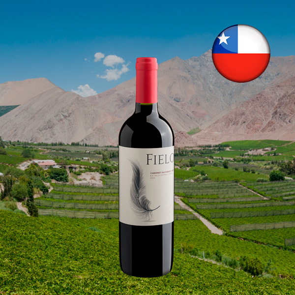 Fielo Cabernet Sauvignon 2020 - Oferta