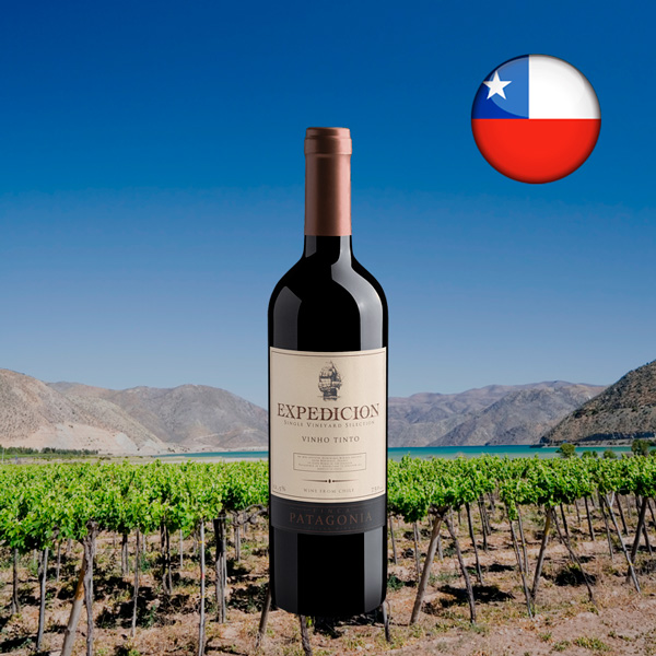 Finca Patagonia Expedicion Single Vineyard Selection Vinho Tinto - Oferta