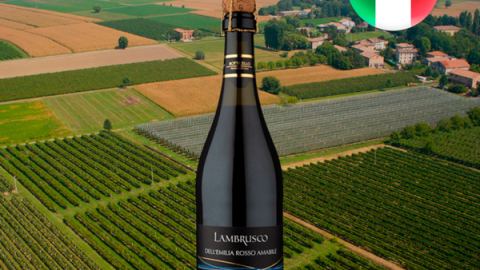 Frisante Botticello Lambrusco IGT dellEmilia Rosso Amabile - Oferta