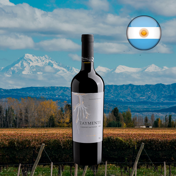 Huarpe Taymente Cabernet Sauvignon 2016 - Oferta