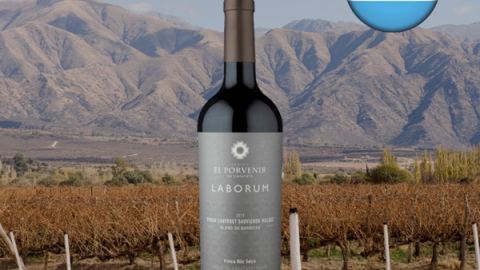 Laborum Blend de Barricas Valle de Cafayate 2019 - Oferta