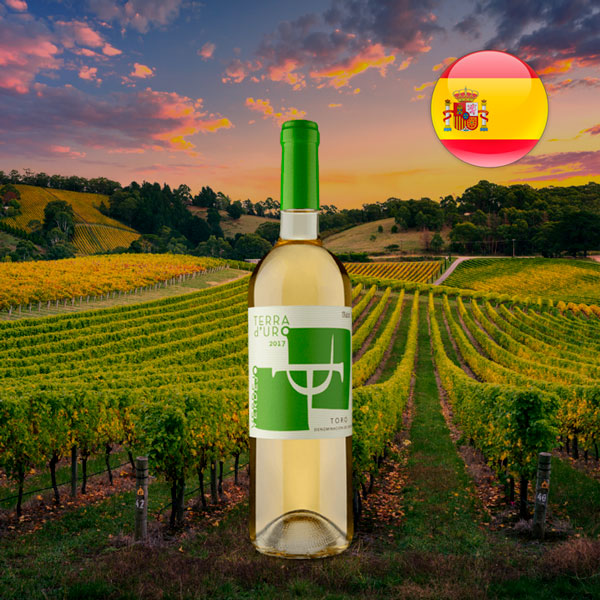 Terra dUro DO Toro Verdejo 2017 - Oferta