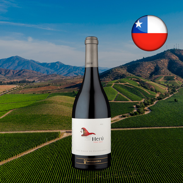 Ventisquero Herú Valle de Casablanca Pinot Noir 2017 - Oferta