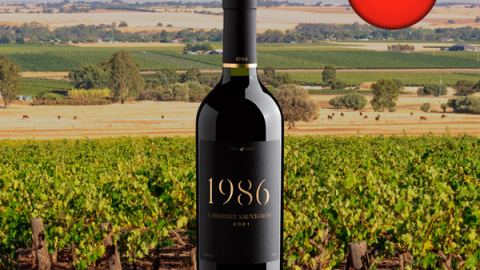1986 Cabernet Sauvignon 2021 - Oferta