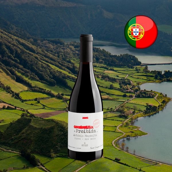 A Proibida Vinho Tinto by António Maçanita 2017 - Oferta