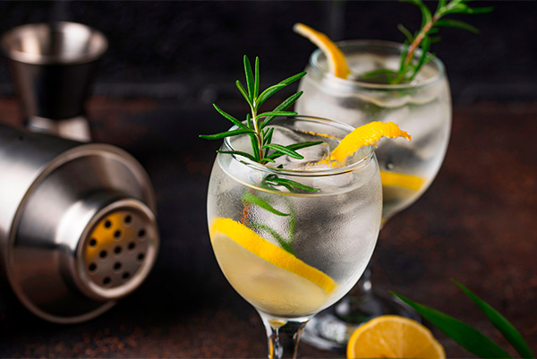 Gin e vinho, a combinação perfeita para o verão