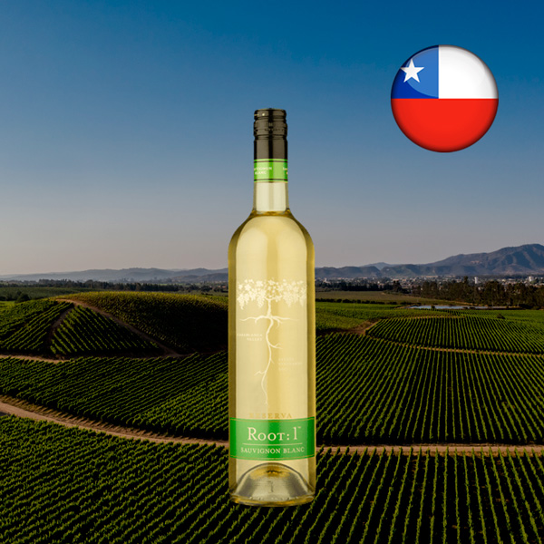 Root: 1 Reserva Sauvignon Blanc 2021 - Oferta