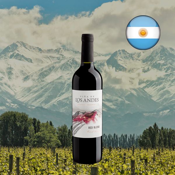 Viña de Los Andes Red Blend 2022 - Oferta