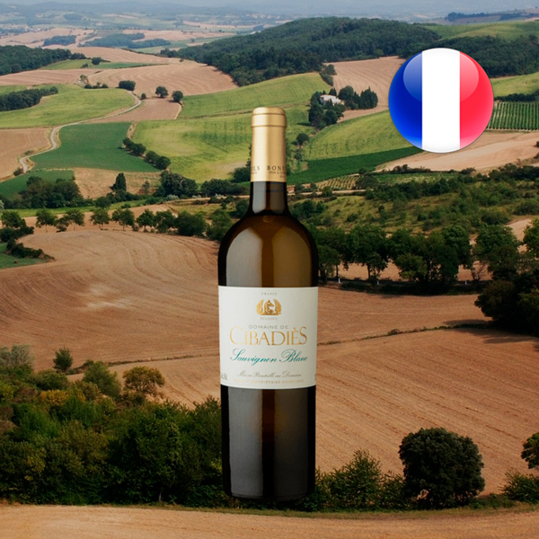 Domaine de Cibadiès Pegasus IGP Pays dOc Sauvignon Blanc 2020 - Oferta