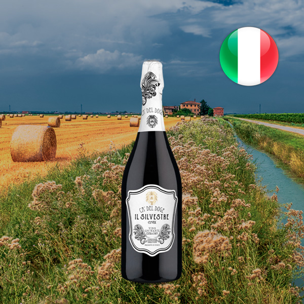 Espumante Il Silvestre Cuvee Ca Del Doge Brut - Oferta