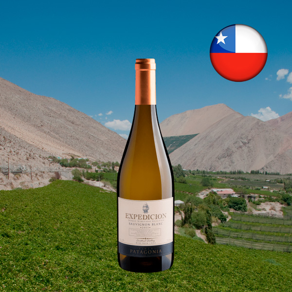 Finca Patagonia Expedicion Single Vineyard Selection Sauvignon Blanc Central Valley DO 2022 - Oferta