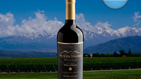 Punta Negra Reserva Cabernet Franc Single Vineyard 2021 - Oferta