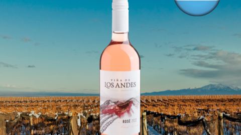 Viña de Los Andes Rosé 2022 - Oferta