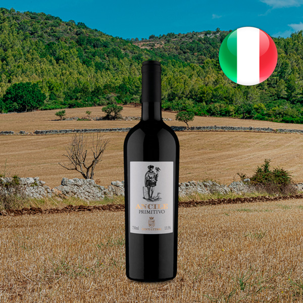 Ancile IGT Salento Primitivo 2019 - Oferta