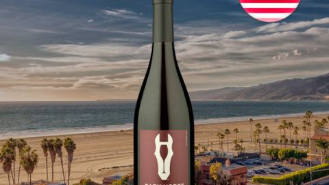 Dark Horse Pinot Noir 2019 - Oferta