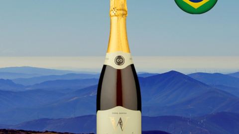 Espumante Amitié Viognier Brut - Oferta