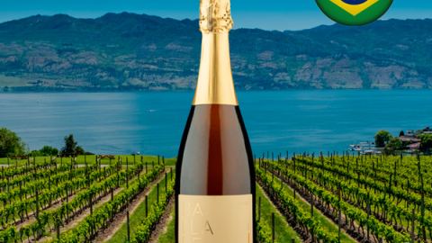 Espumante Ballade Brut 2022 - Oferta