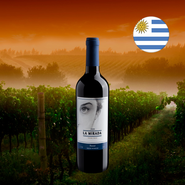 La Mirada Tannat Tinto 2020 - Oferta
