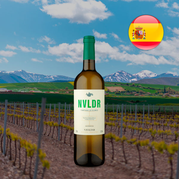 Navaldar DOCa Rioja Blanco 2021 - Oferta