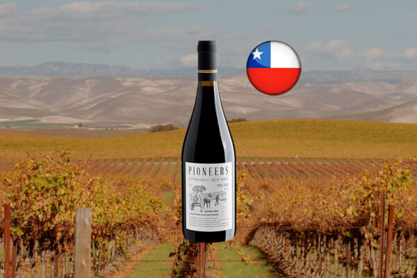 Pioneers Pinot Noir 2024 Thumbnail