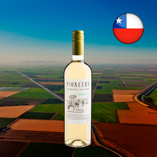 Pionners Sauvignon Blanc 2022 - Oferta