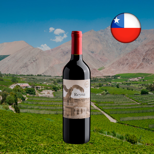 Reyna Cabernet Sauvignon Central Valley DO 2021 - Oferta