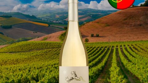Vinha do Lourenço Colheita Selecionada DOC Dão Branco 2021 - Oferta