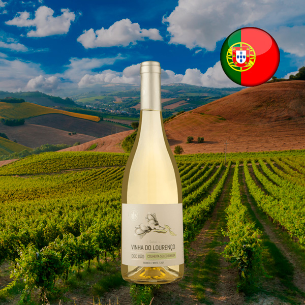 Vinha do Lourenço Colheita Selecionada DOC Dão Branco 2021 - Oferta