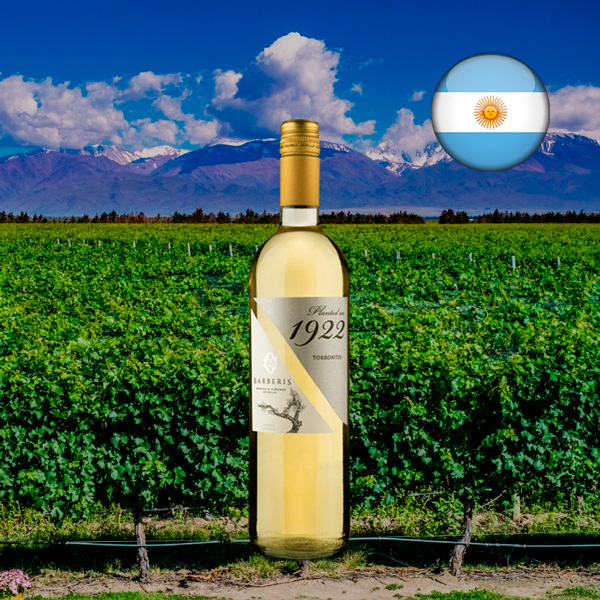 1922 Torrontes 2020 - Oferta