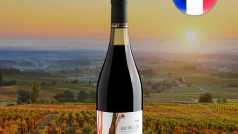 Père Guillot Morgon AOC 2020 - Oferta