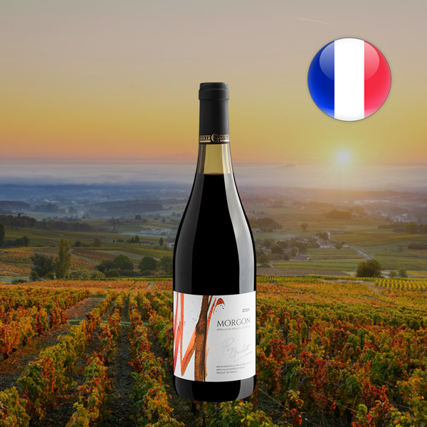 Père Guillot Morgon AOC 2020 - Oferta