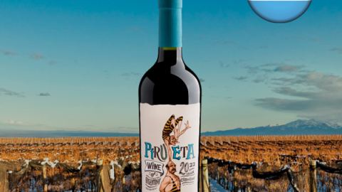 Pirueta Cabernet Sauvignon 2022 - Oferta