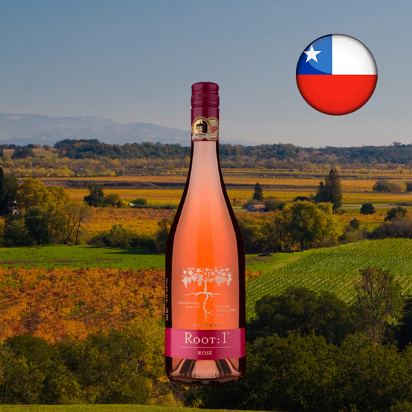 Root 1 Reserva Rosé 2020 - Oferta