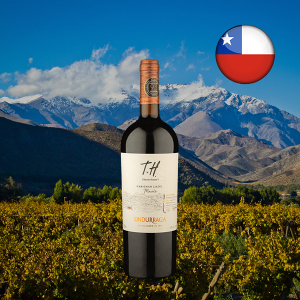 T.H. [Terroir Hunter] Valle del Maule Carignan 2020 - Oferta