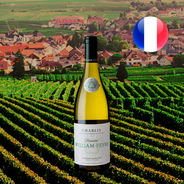 William Fevre Chablis 2018 - Oferta