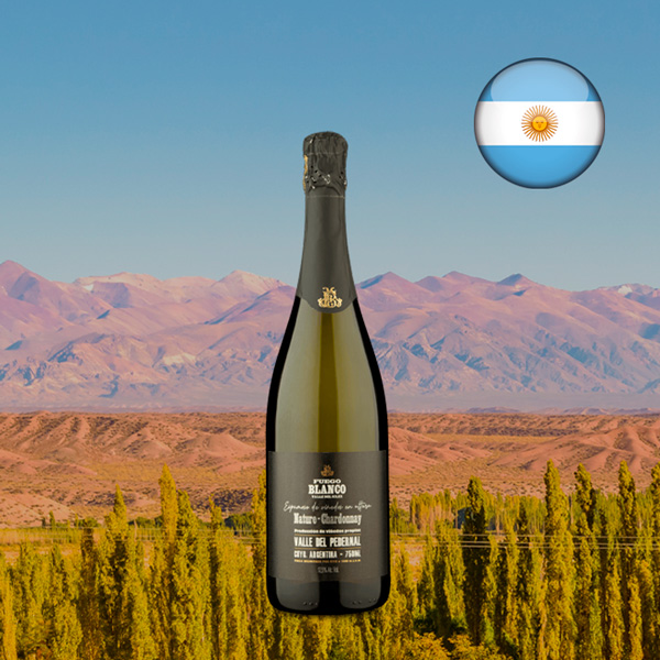 Espumante Fuego Blanco Valle del Silex Valle del Pedernal Chardonnay N - Oferta