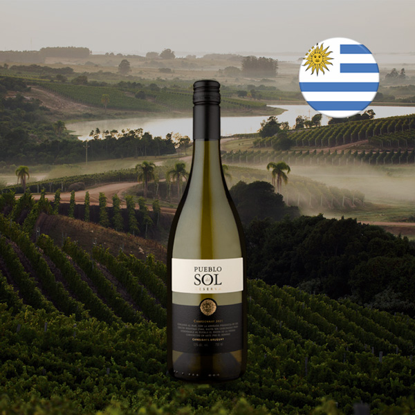 Pueblo del Sol Reserva Chardonnay 2021 - Oferta