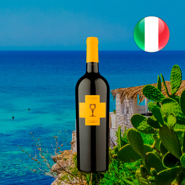 Schola Sarmenti Roccamora IGT Salento Negroamaro 2020 - Oferta