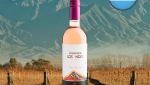 Atardecer de Los Andes Rosé 2022 - Oferta