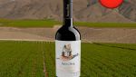 Aves Del Sur Cabernet Sauvignon Reserva Valle del Loncomilla DO 2020 - Oferta