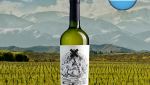 Cordero con Piel de Lobo Chardonnay 2021 - Oferta