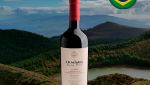Ermínia Perini Merlot & Cabernet Sauvignon 2020 - Oferta