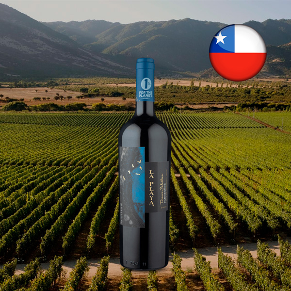 La Playa Terroir Selection Valle de Colchagua Carménère 2019 - Oferta
